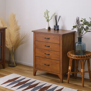 AWAƋ VR؃~j`FXg(60)  AWAG TCh{[h Lrlbg `FXg rO[ [Ƌ AeB[NƋ CeA t@bNX db R\[ 