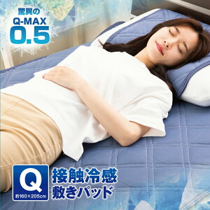 ベッドパッド クイーンサイズ Q Max0 5の人気商品 通販 価格比較 価格 Com
