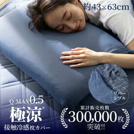 枕カバー 接触冷感 冷感 ひんやり ファスナー式 暑さ対策 冷感枕カバー 洗える ピローケース 夏用 洗い替え 冷たい 涼しい まくらカバー 吸水速乾 抗菌 防臭 通気性抜群 極涼 Q-MAX0.5