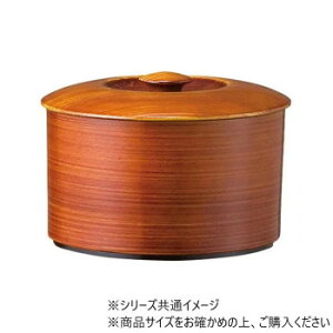 ъ1lp@`[Nؖ()@45000350