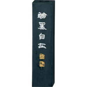 ���| �����˖n���� 10.0���^ AE11-100