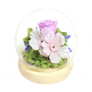 p()@lGXtBA@vU[uht[@퐶@TN@C38303