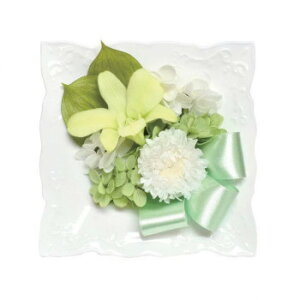 p()@AWg@vU[uht[@(݂)@O[@C33240