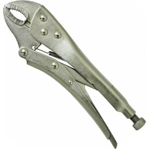 R SUN UP oCXbNvC[225mm 22630