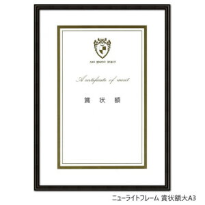 A.P.J. A~t[ j[Cgt[ ܏zA3(315×440mm)@ubNE0020280626