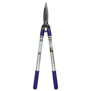 SITA@A~pCvLk@A509@331509