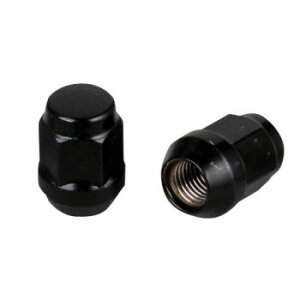 `bvgbv ܃ibg19H M12×1.25×31 16 N-16-16