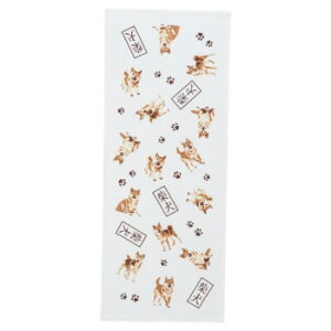 ^I 220FS-008 ӂ킳tFCX^Iwelcome to japan Č