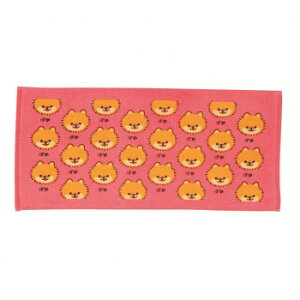 ^I IT76SF-13 [hV[Ovg ۂ