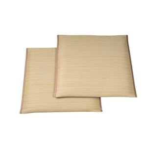 �ʂ� ��D �������z�c 2���g 55x55cm �x�[�W�� TSN342249