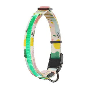 [N hbOlX LED XL AuXgCG[ ybgpi