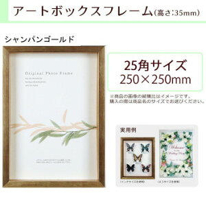 A.P.J. BOXt[ A[g{bNXt[(:35mm) 25pTCY(250×250mm) VpS[h 0021768634