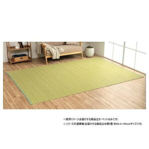 ���{�� �_�C�j���O���O ���ۃX�v���[ �O���[�� �{��1�� ��95.5×191cm 1090030121502