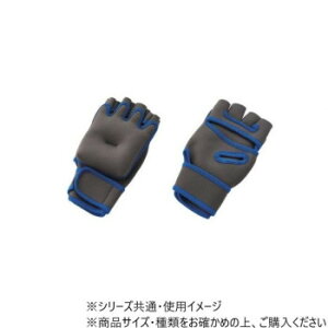 DANNO ダンノ ウェイトグローブ1000 (1kg×2) D5363