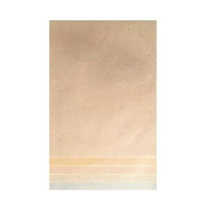 新料紙 守礼 中字 5色セット 半懐紙 50枚 AG20-2