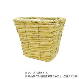 XNGANVbNzCg L@7200009