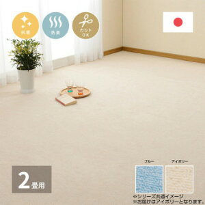 ���[�v�p�C���̕��D�J�[�y�b�g �~�[�e �]�ˊ�2�� �A�C�{���[ ��176×176cm 600016320