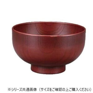 Ntg@ϔM105ؒ`o g 30044120