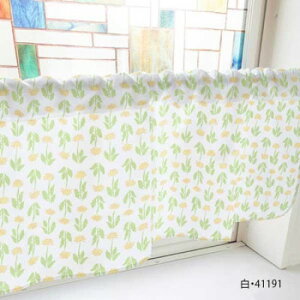 JtFJ[e ۂ 1000×450mm@E41191