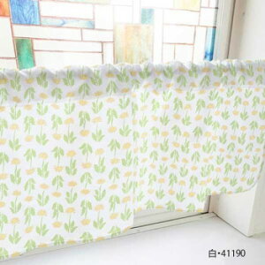 JtFJ[e ۂ 800×450mm@E41190