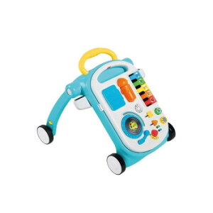 baby einstein@~[WJE~bNXAh[E4-in-1EANeBreBEEH[J[@12045