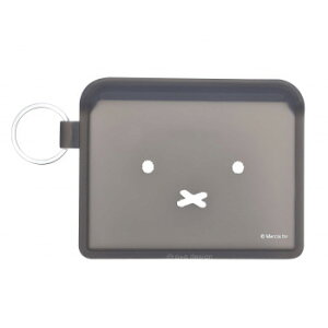 s[W[fUC FLAPPO ~btB[(tb|~btB[) tFCXubN