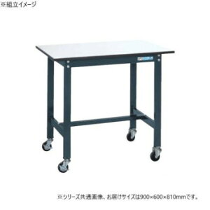 �T�J�G �y�ʍ�Ƒ�SEL�^�C�v �R�ۉ��H �_�[�N�O���[�L���X�^�[�t 900×600×810mm SEL-0960PR