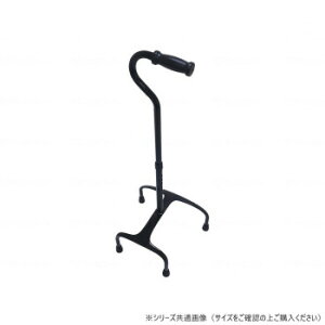 EFt@ l_ ߁[ Light M 009940