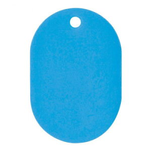 ORIONS プラスチック番号札(小) 無地 50枚入り スカイ NO.9C-S