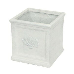 MURATAYA XNGA|bgtHXg7 White 3741