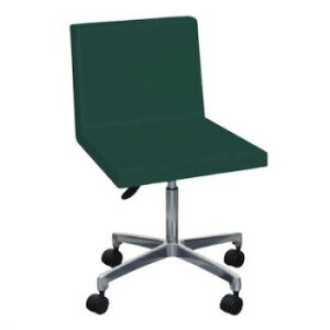 cxbh쏊 }`TC ~@\t`FA[ (LX^[t) fBO[ TB-498-01