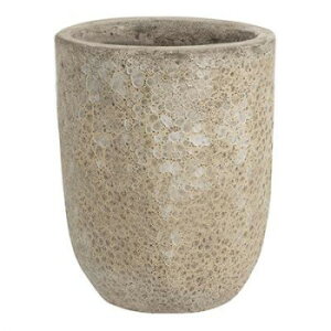 O[|bg Aؔ {J[m g[Eh N[ 33cm EB-VO3341CR