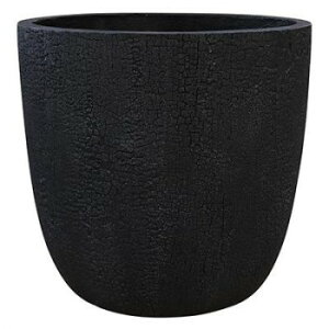 O[|bg Aؔ o[Ebh Eh ubN 40cm GA-2843BK