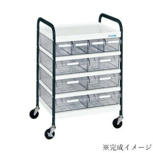 TJG CSS{bNXt CSA-46TWD