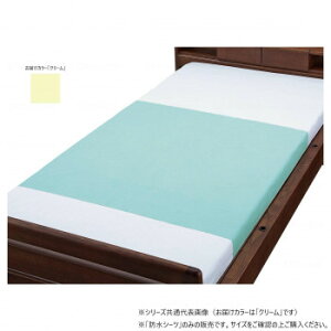 EFt@ pgRbgpChV[c 2g N[ 009481