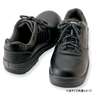 ACgX 59810 Z[teBV[Y(E^ZCq)(jp) ubN 30cm