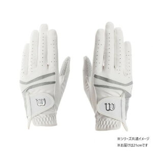 EC\@ptH[}XlI fB[XO[u p zCg/Vo[ 21cm
