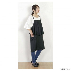 �t�����Y�q���@�V���[�g�G�v�����@�t�B�R�@�u���b�NES-636-20