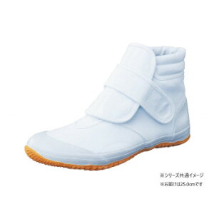 RSHƁ@ƌC@ gT 6@25.0cmzCg EE42800