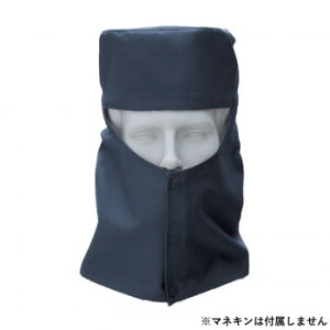 Ka 10013 nږXq MTCY lCr[(1) SOWA