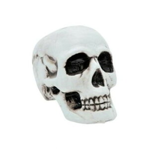 �R�X�`���[���@�R�X�v���ߑ��@���W���@�h�N���@�͌^