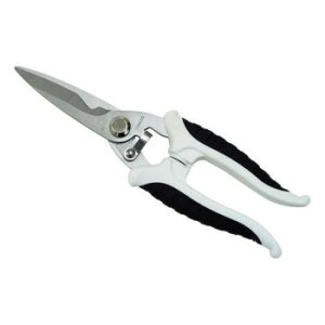 ŃMl쏊  ƒp\͂ 1523 1523