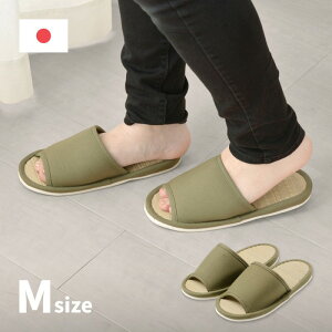 Xbp [V[Y  j Ɨp qp Y Xbp  26cm Y n  eva  { Vv  ʔN VRf   Ȃ a Ɩp  ʋC