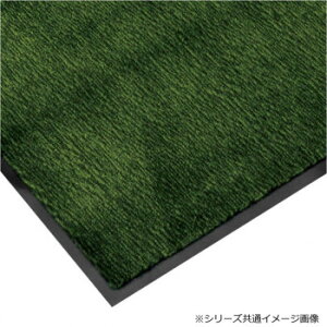 �G���y���[�}�b�g 900×1800 �O���[�� 4120050