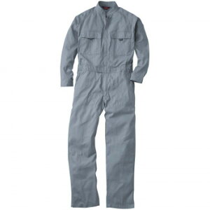 Ka 9000 Ȃ STCY O[(7) SOWA