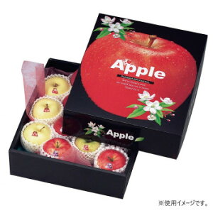 }jpbP[W 񂲂̍ 30 L-419