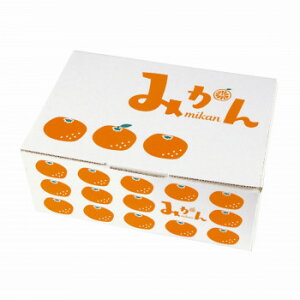 }jpbP[W CXg݂ 3kg 80 L-2442