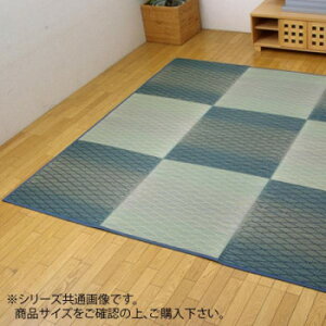 �����Ԃ����J�[�y�b�g �wFX�_�C�����\�x �u���[ ��240×240cm 4822370