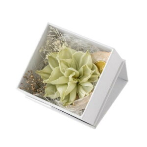 t[AW XNGA{bNX S GR F-3511