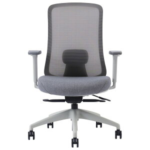 fXN`FA 68cm CgO[ o[T|[gt LX^[t It ߉ @\ ItBX`FA Type-43 giysz